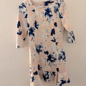 Zara Alexis Rose dress